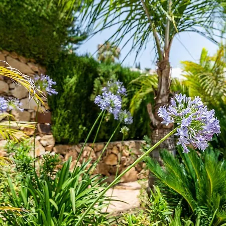 Luxury 3 Bed With Heated Pool - Nueva Andalucia Vila